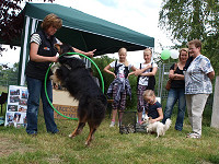 Tierheimfest 2011